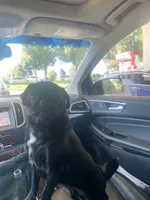 processed/0bd8c243-a71a-4b53-8aa0-d11dc4cdab3a/facility/c8fc0f08-e50e-4381-b9e1-946270bddf11