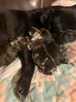 processed/0bd8c243-a71a-4b53-8aa0-d11dc4cdab3a/facility/ca77eb73-2b52-4cdf-830a-7820d2eba82e