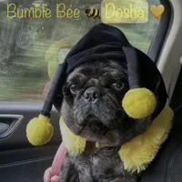 processed/0bd8c243-a71a-4b53-8aa0-d11dc4cdab3a/facility/d0eff801-b6df-4644-897c-4aae9bfbb24a