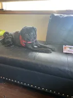 processed/0bd8c243-a71a-4b53-8aa0-d11dc4cdab3a/facility/e6171a02-4659-4403-997e-1e6b46087a12