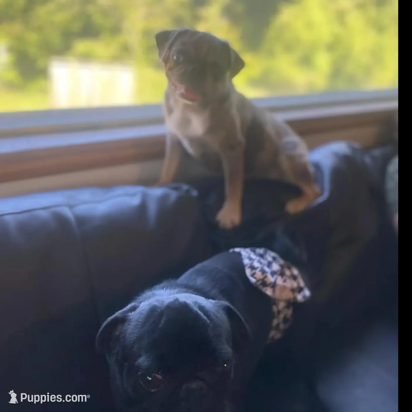 processed/0bd8c243-a71a-4b53-8aa0-d11dc4cdab3a/facility/f7436b6e-0038-468c-94a5-064c7f44fe04