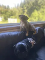 processed/0bd8c243-a71a-4b53-8aa0-d11dc4cdab3a/facility/f7436b6e-0038-468c-94a5-064c7f44fe04