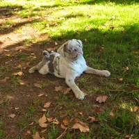 processed/0bd8c243-a71a-4b53-8aa0-d11dc4cdab3a/listing/258dd7f0-6e5b-4dfb-966e-8ac5f58b4a92/2a73808d-839a-440e-8e03-498310b4fde5