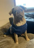 processed/0bd8c243-a71a-4b53-8aa0-d11dc4cdab3a/listing/258dd7f0-6e5b-4dfb-966e-8ac5f58b4a92/2ac351f6-f6c7-4783-bb98-b3bdff46396b