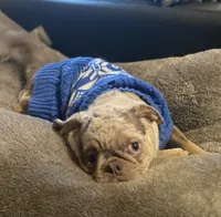 processed/0bd8c243-a71a-4b53-8aa0-d11dc4cdab3a/listing/258dd7f0-6e5b-4dfb-966e-8ac5f58b4a92/7c8c8fc1-437e-4cee-a65a-6d36d8ded770