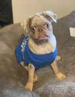 processed/0bd8c243-a71a-4b53-8aa0-d11dc4cdab3a/listing/258dd7f0-6e5b-4dfb-966e-8ac5f58b4a92/9c8f8cf1-95af-45f5-8bb8-46e4f105b9d3