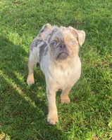 processed/0bd8c243-a71a-4b53-8aa0-d11dc4cdab3a/listing/258dd7f0-6e5b-4dfb-966e-8ac5f58b4a92/9d944326-c2d7-4ccb-b8b2-4117bf1eb3ad