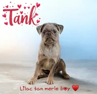 processed/0bd8c243-a71a-4b53-8aa0-d11dc4cdab3a/listing/258dd7f0-6e5b-4dfb-966e-8ac5f58b4a92/b8f29cb8-2f46-4a3c-aabd-7b5b96e6f528