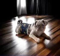 processed/0bd8c243-a71a-4b53-8aa0-d11dc4cdab3a/listing/258dd7f0-6e5b-4dfb-966e-8ac5f58b4a92/bb2609dc-b15c-40cf-bcc8-38fb1d0a2af1