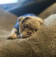 processed/0bd8c243-a71a-4b53-8aa0-d11dc4cdab3a/listing/258dd7f0-6e5b-4dfb-966e-8ac5f58b4a92/c8997655-96b6-400a-9c60-7b0db26f693c