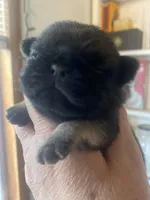 processed/0bd8c243-a71a-4b53-8aa0-d11dc4cdab3a/listing/c06c45b6-afef-4fb8-9b17-003699039a7f/82ecbf0a-7beb-41f5-b901-ea8f007f7753