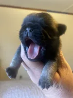 processed/0bd8c243-a71a-4b53-8aa0-d11dc4cdab3a/listing/c06c45b6-afef-4fb8-9b17-003699039a7f/bb619043-f225-4e65-ae49-7a7e663433cd