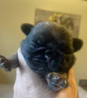 processed/0bd8c243-a71a-4b53-8aa0-d11dc4cdab3a/listing/c06c45b6-afef-4fb8-9b17-003699039a7f/bddb25f4-94e5-42f0-ad91-8f2329e78c2d