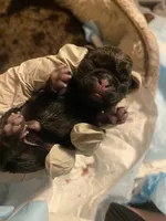 processed/0bd8c243-a71a-4b53-8aa0-d11dc4cdab3a/listing/c06c45b6-afef-4fb8-9b17-003699039a7f/c1b1bc79-c164-4e43-9a26-70574f281b6f