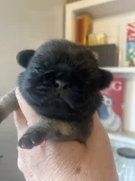 processed/0bd8c243-a71a-4b53-8aa0-d11dc4cdab3a/listing/c06c45b6-afef-4fb8-9b17-003699039a7f/d53a0d49-cc1c-4189-aedf-ac09dd12a681