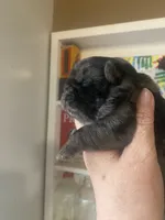 processed/0bd8c243-a71a-4b53-8aa0-d11dc4cdab3a/listing/c8291798-ff1a-4a40-8c40-855965bc1feb/0b52311f-183e-4d77-9529-1960f0f535ab