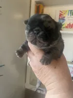 processed/0bd8c243-a71a-4b53-8aa0-d11dc4cdab3a/listing/c8291798-ff1a-4a40-8c40-855965bc1feb/93a5d7bc-5ae9-4f9a-975c-515cb22b6887