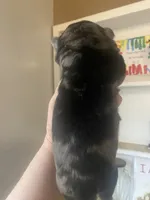 processed/0bd8c243-a71a-4b53-8aa0-d11dc4cdab3a/listing/c8291798-ff1a-4a40-8c40-855965bc1feb/dc45691b-69bd-4add-b142-8dc2be66ea8c