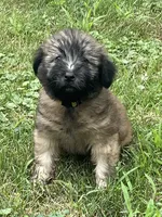 processed/0bdf17c0-30fa-4459-9fa8-ac9db6918846/listing/2325755a-dc55-49f6-8304-865c5e098971/02312e30-54c4-4d5f-87fd-2e1288f7aaa9