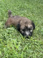 processed/0bdf17c0-30fa-4459-9fa8-ac9db6918846/listing/2325755a-dc55-49f6-8304-865c5e098971/1f94985e-bcec-4e75-a3f6-0dd15451a0a7