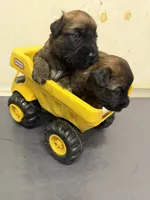 processed/0bdf17c0-30fa-4459-9fa8-ac9db6918846/listing/2325755a-dc55-49f6-8304-865c5e098971/62e99d06-b8f8-4461-ad8e-89e128c562ae