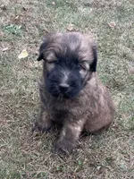 processed/0bdf17c0-30fa-4459-9fa8-ac9db6918846/listing/2325755a-dc55-49f6-8304-865c5e098971/9e464d82-b59f-4699-aebb-60cbb1af3170