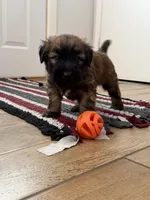 processed/0bdf17c0-30fa-4459-9fa8-ac9db6918846/listing/2325755a-dc55-49f6-8304-865c5e098971/cbcefa6e-c35d-429d-8923-5a77c2f1745a