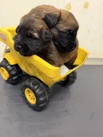 processed/0bdf17c0-30fa-4459-9fa8-ac9db6918846/listing/2325755a-dc55-49f6-8304-865c5e098971/d0026a69-9718-4e72-9542-e689ac8833cf