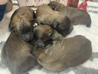 processed/0bdf17c0-30fa-4459-9fa8-ac9db6918846/listing/2325755a-dc55-49f6-8304-865c5e098971/d8ca34dd-c32a-4c47-9176-7aecd9c58fd7