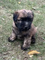 processed/0bdf17c0-30fa-4459-9fa8-ac9db6918846/listing/2325755a-dc55-49f6-8304-865c5e098971/eba733d3-5a46-450e-892a-502643aa15b4