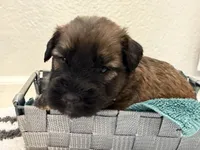 processed/0bdf17c0-30fa-4459-9fa8-ac9db6918846/listing/a2d37618-af30-4b2e-be0a-99cd9d8b5609/14d38cdd-5141-49e7-a958-119253ebad0a