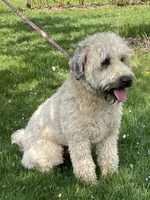 processed/0bdf17c0-30fa-4459-9fa8-ac9db6918846/listing/a2d37618-af30-4b2e-be0a-99cd9d8b5609/36b336aa-c827-441b-bd81-820519d6c00a