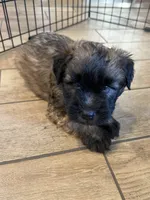 processed/0bdf17c0-30fa-4459-9fa8-ac9db6918846/listing/a2d37618-af30-4b2e-be0a-99cd9d8b5609/9714f05c-6184-4506-adbb-ed017e00e195