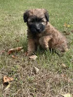 processed/0bdf17c0-30fa-4459-9fa8-ac9db6918846/listing/a2d37618-af30-4b2e-be0a-99cd9d8b5609/bb94adbd-f9e2-4d2a-b5e6-1d026a5c50c8