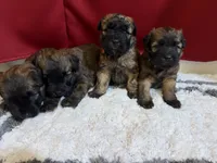 processed/0bdf17c0-30fa-4459-9fa8-ac9db6918846/listing/b8a48599-2578-46c0-8a4e-ab3f9aaea14d/8c8d3c74-5b94-48b4-80d4-e2a313bce27d