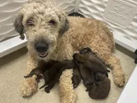 processed/0bdf17c0-30fa-4459-9fa8-ac9db6918846/listing/b8a48599-2578-46c0-8a4e-ab3f9aaea14d/c08ce9aa-aee4-4953-8fc4-75f939eb5616