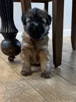 processed/0bdf17c0-30fa-4459-9fa8-ac9db6918846/listing/d6602330-60d7-416b-bfc5-28f9503fd812/01a6793a-42fd-4bc0-8d98-35da2c69e57e