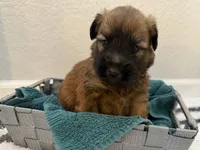 processed/0bdf17c0-30fa-4459-9fa8-ac9db6918846/listing/d6602330-60d7-416b-bfc5-28f9503fd812/59365534-03ab-4da8-9631-9f75b817138a