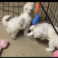 processed/0bea18ed-5858-4976-b57c-5c366132a3c5/facility/5ddb8805-6d08-4224-a8b8-b5be052b0f77