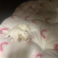 processed/0bea18ed-5858-4976-b57c-5c366132a3c5/facility/b809b7da-7e5f-4a00-85d4-5585a28d46b4