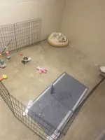 processed/0bea18ed-5858-4976-b57c-5c366132a3c5/facility/b957eadd-bfd5-4abc-ac7c-b3438bcba66f