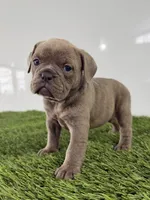 processed/0bea18ed-5858-4976-b57c-5c366132a3c5/listing/108d1554-ac32-4503-9117-d86fe8efe22c/68025f03-2e74-42d7-b571-49ccf4e29658