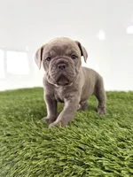 processed/0bea18ed-5858-4976-b57c-5c366132a3c5/listing/4ac3a82e-e80f-4fd4-8b48-0e4d2addb2dc/13f9f69b-4a54-4e2f-9845-daebf8fbb058