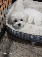 processed/0beb3a26-3392-4466-8d89-67e1f8991a10/listing/2e191ae4-1b47-414a-91c9-184df6121118/42c46bde-72fc-4464-88df-20aac23a079b