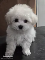 processed/0beb3a26-3392-4466-8d89-67e1f8991a10/listing/2e191ae4-1b47-414a-91c9-184df6121118/44634fc5-b138-4e73-a04d-269399be7680