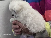 processed/0beb3a26-3392-4466-8d89-67e1f8991a10/listing/2e191ae4-1b47-414a-91c9-184df6121118/44b8a855-2de8-4918-9973-8f43b04d70ca