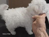 processed/0beb3a26-3392-4466-8d89-67e1f8991a10/listing/2e191ae4-1b47-414a-91c9-184df6121118/6a2a01dd-10eb-4686-bc9c-2a98a9d90014