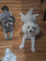 processed/0beb3a26-3392-4466-8d89-67e1f8991a10/listing/2e191ae4-1b47-414a-91c9-184df6121118/70caab8a-a099-4ab7-97a9-4b6082f50da2