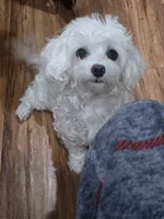 processed/0beb3a26-3392-4466-8d89-67e1f8991a10/listing/2e191ae4-1b47-414a-91c9-184df6121118/8dedb3a7-d5b8-4a0c-8196-5c6fd2af37cb