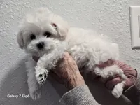 processed/0beb3a26-3392-4466-8d89-67e1f8991a10/listing/2e191ae4-1b47-414a-91c9-184df6121118/d579e835-ffe0-4755-a9e7-5ce4c618c49d